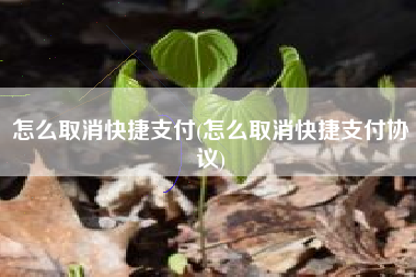 怎么取消快捷支付(怎么取消快捷支付协议)