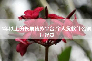5年以上的长期贷款平台,个人贷款什么银行好贷