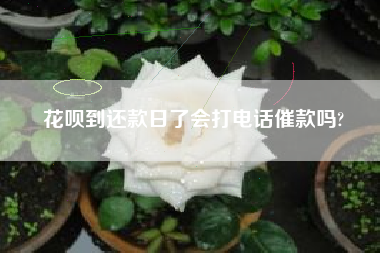 花呗到还款日了会打电话催款吗?
