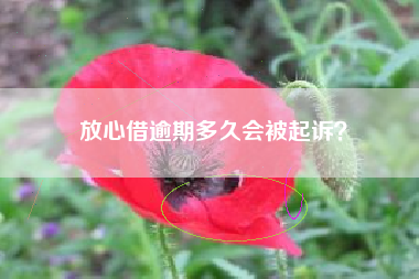 放心借逾期多久会被起诉？