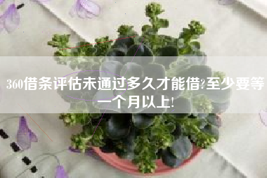 360借条评估未通过多久才能借?至少要等一个月以上!