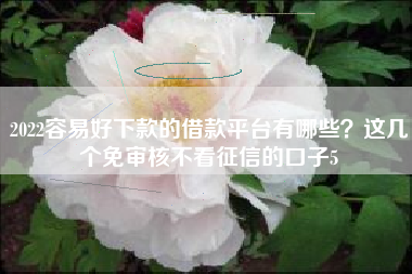 2022容易好下款的借款平台有哪些？这几个免审核不看征信的口子5