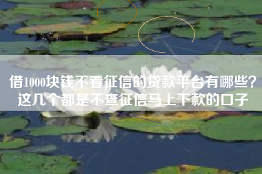 借1000块钱不看征信的贷款平台有哪些？这几个都是不查征信马上下款的口子