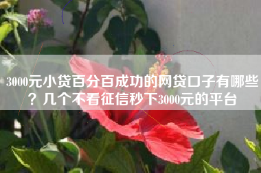 3000元小贷百分百成功的网贷口子有哪些？几个不看征信秒下3000元的平台