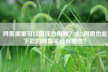 网黑哪里可以借钱急用啊？2022网黑也能下款的网贷平台有哪些？