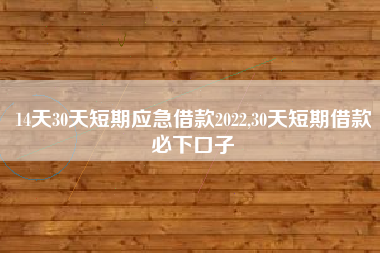 14天30天短期应急借款2022,30天短期借款必下口子