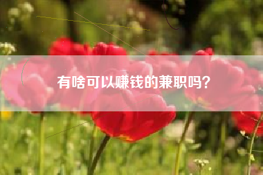 有啥可以赚钱的兼职吗？