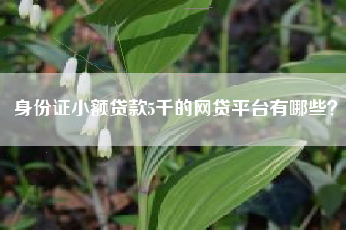 身份证小额贷款5千的网贷平台有哪些？