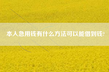 本人急用钱有什么方法可以能借到钱?