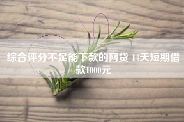 综合评分不足能下款的网贷 14天短期借款1000元