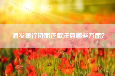 浦发银行协商还款注意哪些方面？