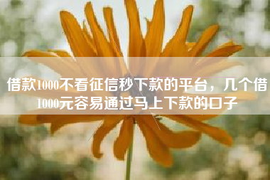 借款1000不看征信秒下款的平台，几个借1000元容易通过马上下款的口子