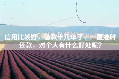 信用比较好，借款十几年了，一直准时还款，对个人有什么好处呢？