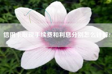 信用卡取现手续费和利息分别怎么计算?