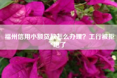 福州信用小额贷款怎么办理？工行被拒绝了