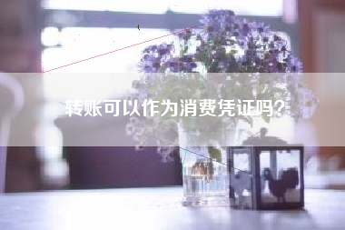 转账可以作为消费凭证吗？