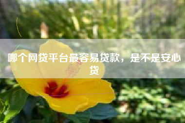 哪个网贷平台最容易贷款，是不是安心贷