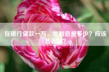 在银行贷款一万，年利息是多少？应该怎么算？