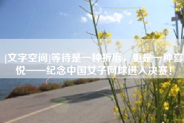[文字空间]等待是一种折磨，更是一种喜悦——纪念中国女子网球进入决赛！