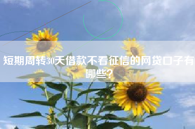 短期周转30天借款不看征信的网贷口子有哪些？