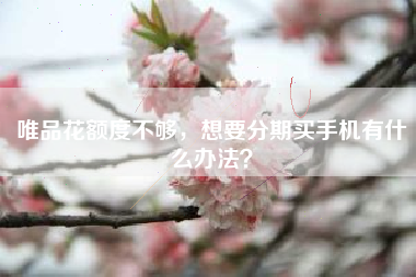 唯品花额度不够，想要分期买手机有什么办法？