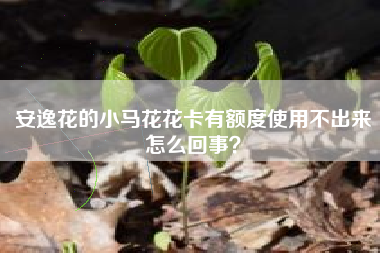 安逸花的小马花花卡有额度使用不出来怎么回事？