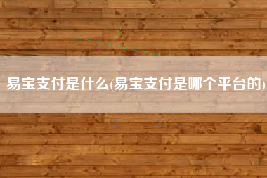 易宝支付是什么(易宝支付是哪个平台的)
