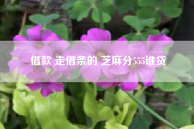 借款 走借条的 芝麻分555谁贷
