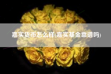 嘉实货币怎么样(嘉实基金靠谱吗)