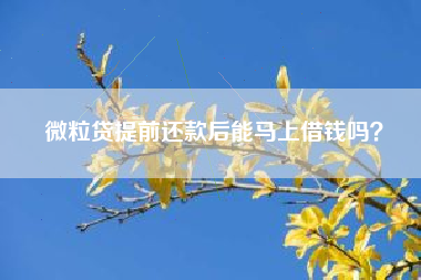 微粒贷提前还款后能马上借钱吗？