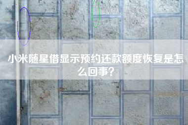 小米随星借显示预约还款额度恢复是怎么回事？