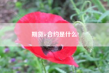 期货ic合约是什么?