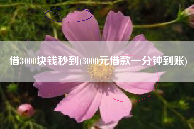 借3000块钱秒到(3000元借款一分钟到账)