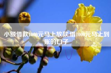 小额借款1000元马上放款,借1000元马上到账的口子