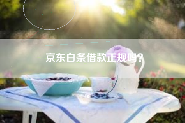 京东白条借款正规吗？