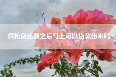 微粒贷还清之后马上可以贷款出来吗