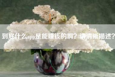 到底什么app是能赚钱的啊？请清晰描述？
