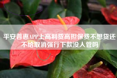 平安普惠APP上高利贷高担保费不想贷还不给取消强行下款没人管吗