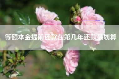 等额本金提前还款在第几年还款最划算