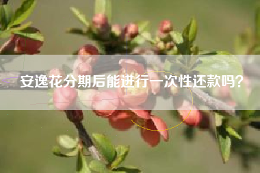安逸花分期后能进行一次性还款吗？