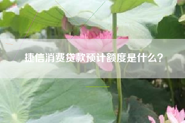 捷信消费贷款预计额度是什么？