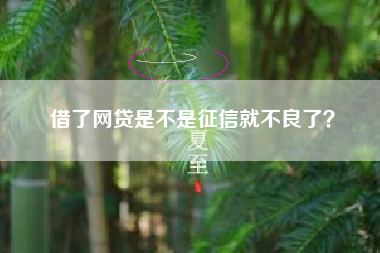 借了网贷是不是征信就不良了？