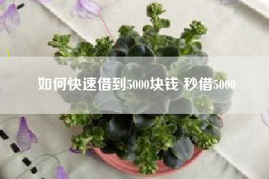 如何快速借到5000块钱 秒借5000