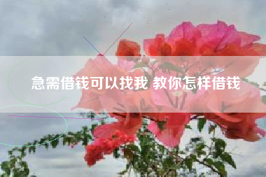 急需借钱可以找我 教你怎样借钱