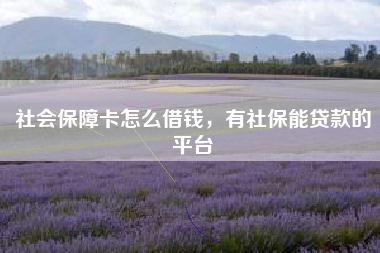 社会保障卡怎么借钱，有社保能贷款的平台