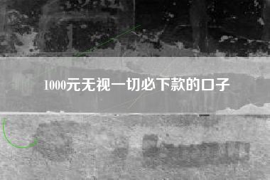 1000元无视一切必下款的口子