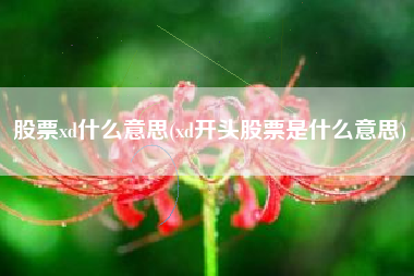 股票xd什么意思(xd开头股票是什么意思)