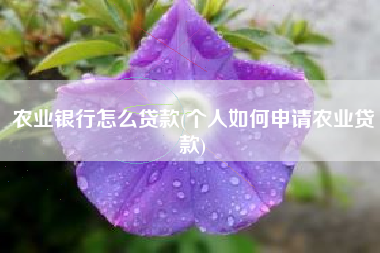 农业银行怎么贷款(个人如何申请农业贷款)