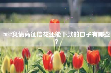 2022负债高征信花还能下款的口子有哪些？