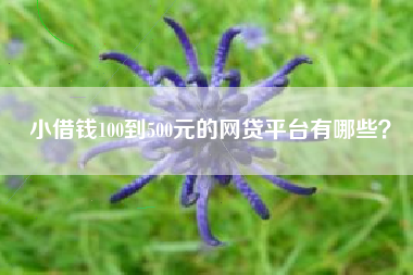 小借钱100到500元的网贷平台有哪些？